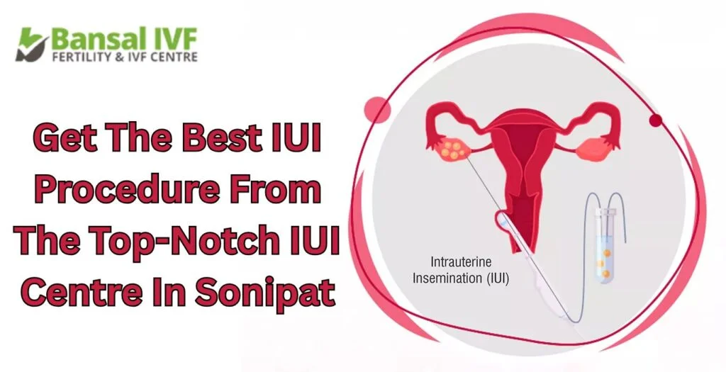 IUI-Procedure