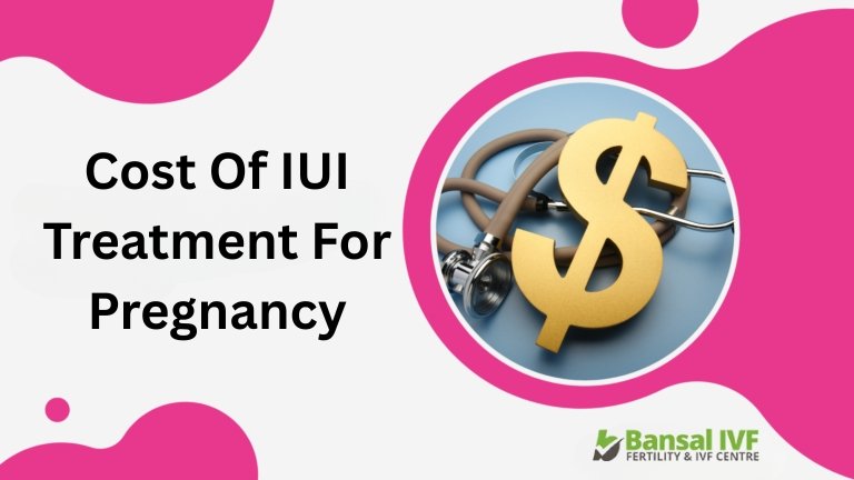 IUI-Treatment-for-Pregnancy