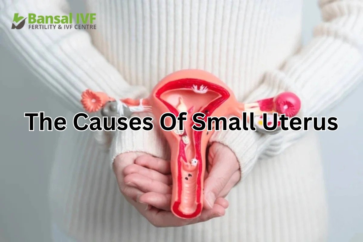 Small-Uterus