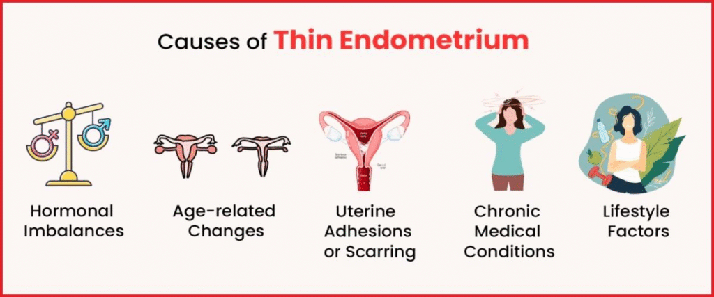 Endometrial-Thickness-For-IVF