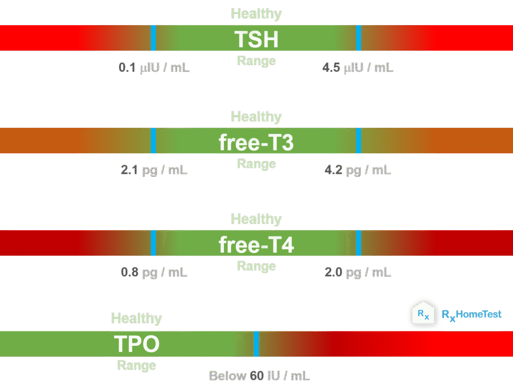 TSH-Levels-in-Pregnancy