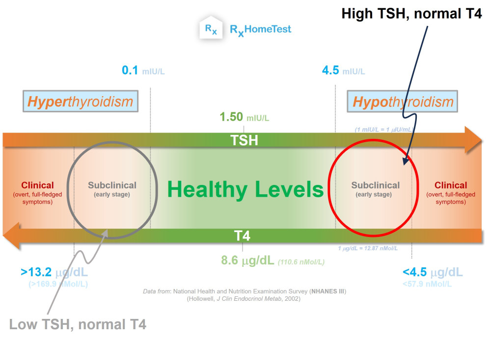 TSH-Levels-in-Pregnancy