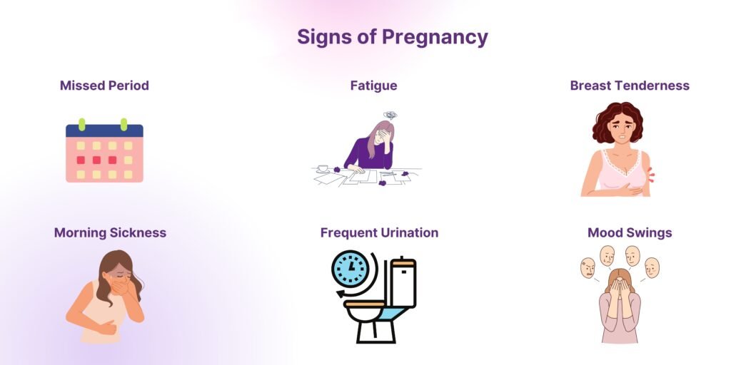 Stages-of-Pregnancy