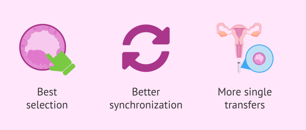 Blastocyst-Culture-In-IVF