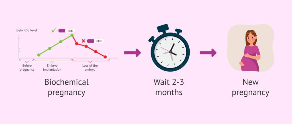 Biochemical-Pregnancy