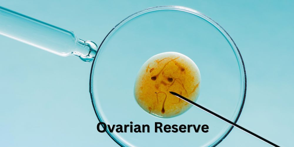 ovarian-reserve